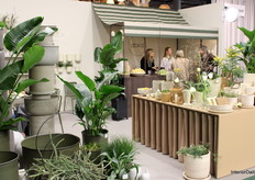 dbkd’s booth was filled with lush greenery and showcased its newest collection of pots.