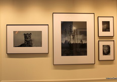 IONNYK displayed black-and-white artworks on a digital canvas, changeable via an app.