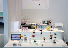 H Concept displayed single flowers in plastic holders inside glass bowls of water.