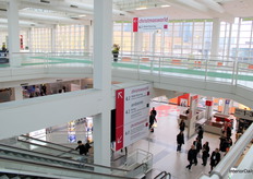 A crossroads at Ambiente, guiding visitors through the fair’s vast halls.