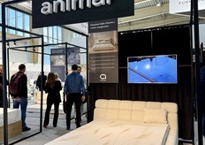 A look at the state of animar.