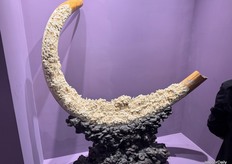 A hand-made Chinese decorative tusk, featuring intricate figures including temples, Buddhas, and other traditional motifs, detailed from end to end.