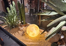 Qianjin’s booth opens with real cacti and a moon-inspired light, creating a serene first impression.