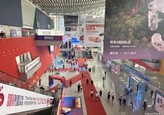 From a higher vantage point, the filled hallways were accented by sizable billboards hanging at regular intervals.