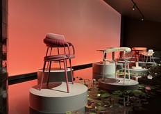 Beautiful S•CAB presentation where chairs were placed in water with lilies around them.