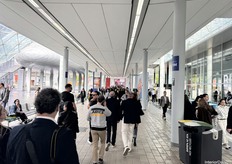 A small glimpse of the main walking road between each hall.