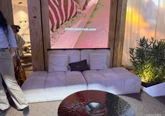 At Salone del Mobile, after its appearance at IDD Cologne, Add-rest introduced a system where a bed was raised and lowered mechanically to conceal a sofa underneath.