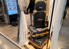 Alongside its high-end curtains, Sophia also focused on home decoration designs.