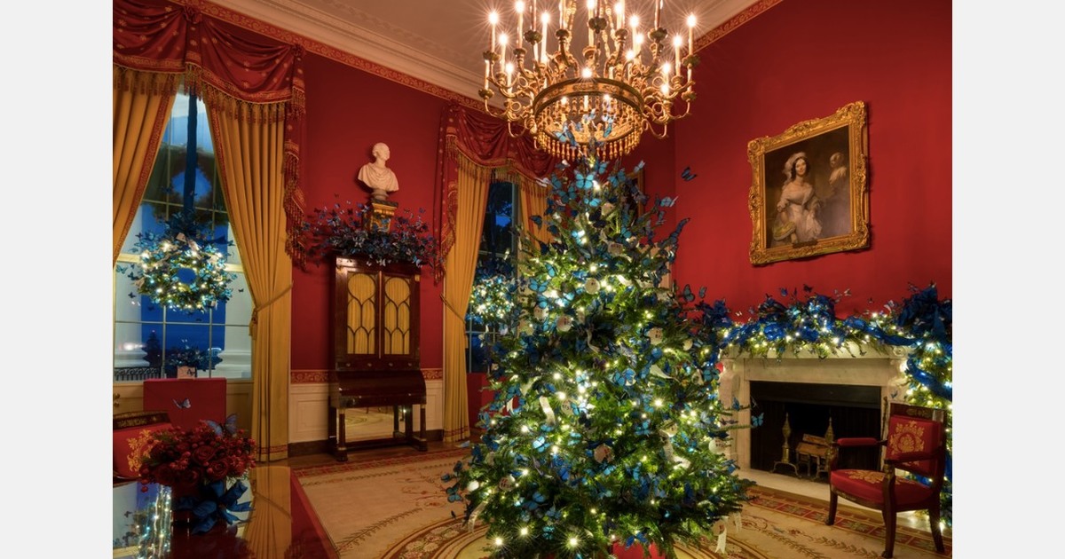 What interior designers have to say about the White House Christmas decorations