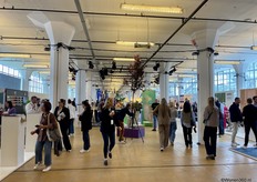 Blik in the first hall.