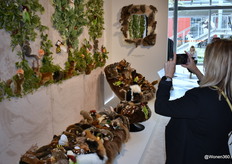 Unique and bold animal design at AP Collection, often photographed.